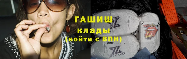 шишки Горняк