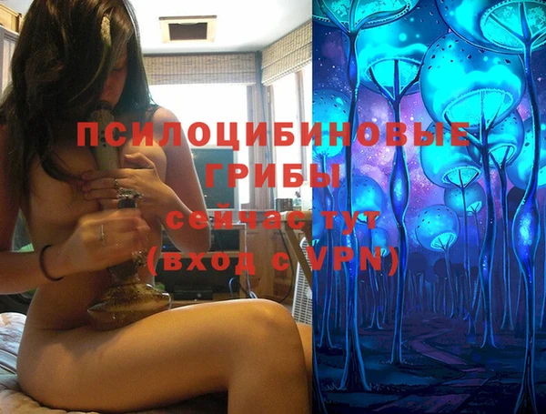 стафф Белокуриха
