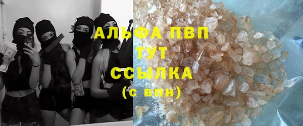 стафф Белокуриха